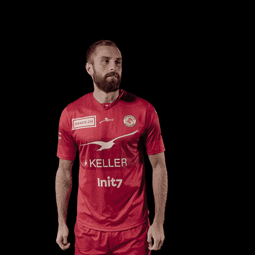 Animation des Projekts Projekt 1